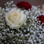 0302_Cerimonia