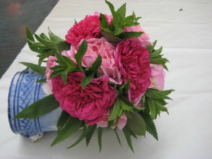 englische Rosen mit Minze 120,- Euro