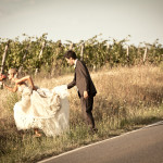 -® Ilaria Costanzo-3277